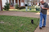 Jim testing Destin's recognition of his name while walking on the leash in front of our house.