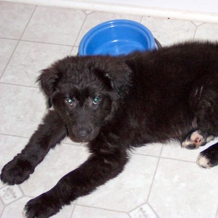 Destin hanging out in the bathroom waiting for a refill.