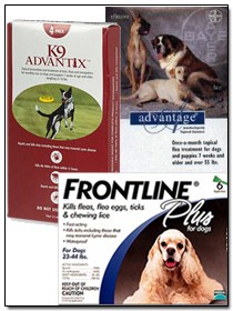 Flea and tick preventatives that I have used