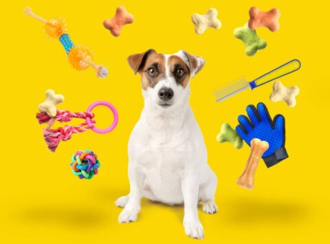 See this list of all the free stuff for dogs. Free samples and dog supplies that are free just for asking!