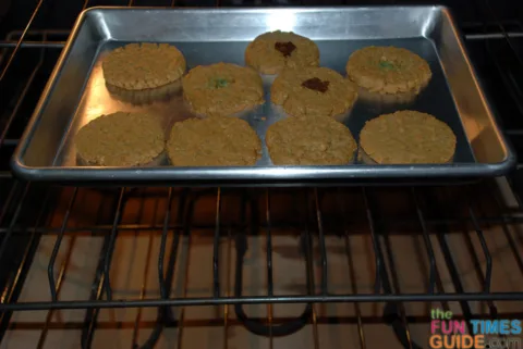 freshpet-dog-cookies-in-the-oven