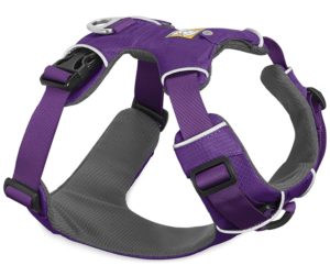 Example of a front clip harness without the extra support.