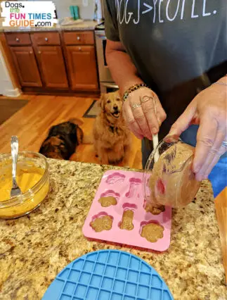 You simply pour the mixture (Cooper's Treats Pupsicle Mix and water) into silicone molds and freeze! These are the easiest frozen dog treats for summer -- for sure!