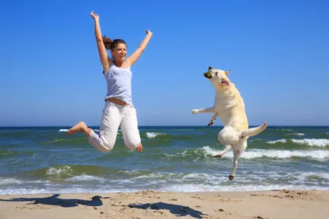 Take your dog to the beach or the lake! Here's a list of dog-friendly beaches in the USA.