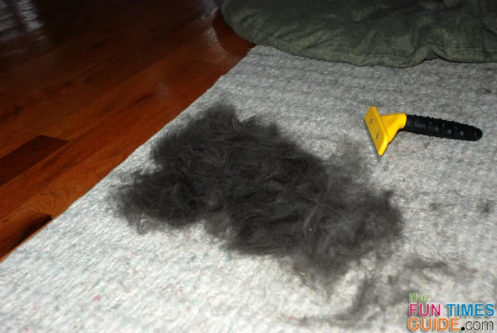 The Furminator for dogs removed all of this fur from my Black Lab / Great Pyrenees mix.
