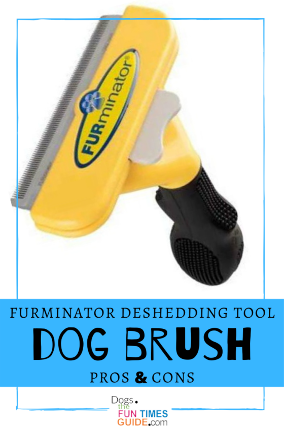 What Is The Best Dog Brush? I've Used This Furminator Brush Since 2008