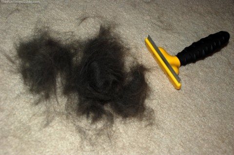 The Furminator dog brush next to a pile of dog fur that it pulled off my dog, with very little effort on my part. photo by Lynnette at TheFunTimesGuide.com After using the Furrminator dog brush -- lots of dog fur!