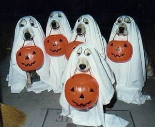 halloween-dogs-as-ghosts.jpg