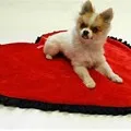 heart-shape-dog-blanket