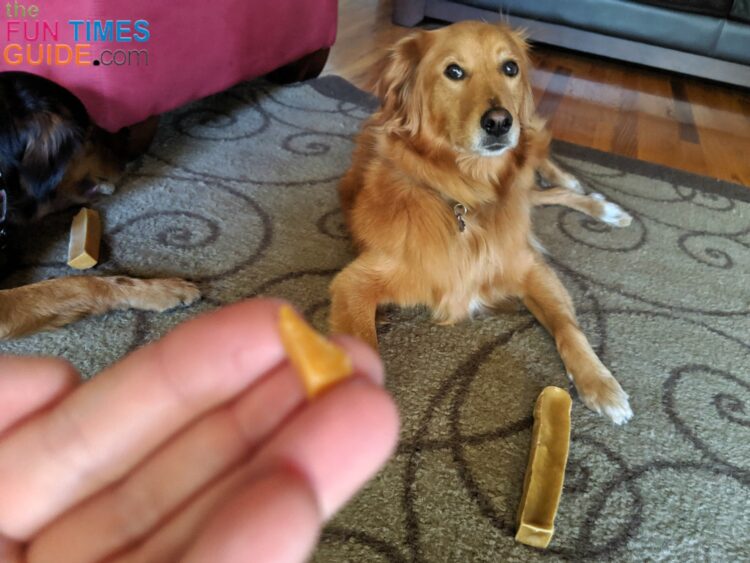 Himalayan Dog Chew Microwave Instructions See How To Make Yak Cheese