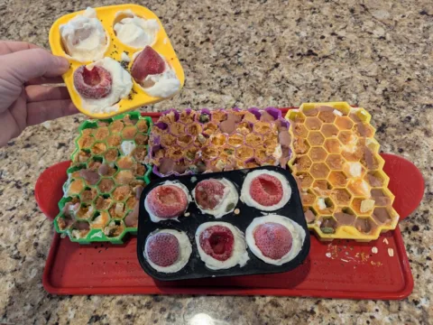 In addition to the homemade treats in octagon-shaped silicone molds, you can see some Greek yogurt & strawberry treats I've made in the yellow LARGE size WOOF trays and in the black LARGE size Yipetor silicone treat trays. photo by Lynnette at TheFunTimesGuide.com In addition to the homemade treats in octagon-shaped silicone molds, you can see some Greek yogurt & strawberry treats I've made in the yellow LARGE size WOOF trays and in the black LARGE size Yipetor silicone treat trays.
