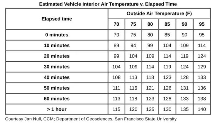 Dog Hot Car Laws + What You Should Do If You See A Dog Left In A Hot ...