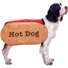 hotdog-dog-costume.jpg