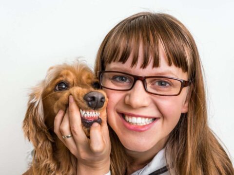 how-to-brush-dog-teeth If you've ever wondered how in the world you’re going to brush your dog's teeth yourself, I’ve got SO MANY helpful tips that will make it incredibly easy for you to do! See exactly how to clean your dog's teeth. Handy gadgets that make the process MUCH easier. The difference between plaque and tartar - how to tell which one your dog has (and which one is the most harmful). Plus some scary facts that will become your reality if you DON’T start brushing your dog’s teeth. 80% of dogs have dental disease by age 3 - so it’s crucial that you start now!