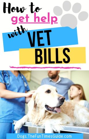 How to get help with vet bills!