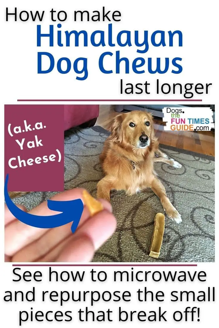 Himalayan Dog Chew Microwave Instructions: See How To Make Yak Cheese