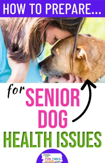 How to prepare for your dog's senior years healthwise