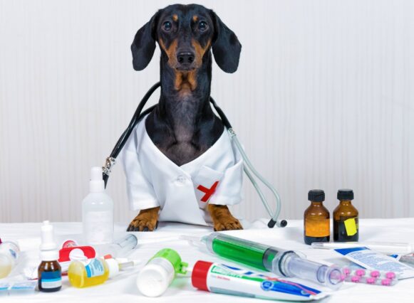 Here's a list of human medications safe for dogs.