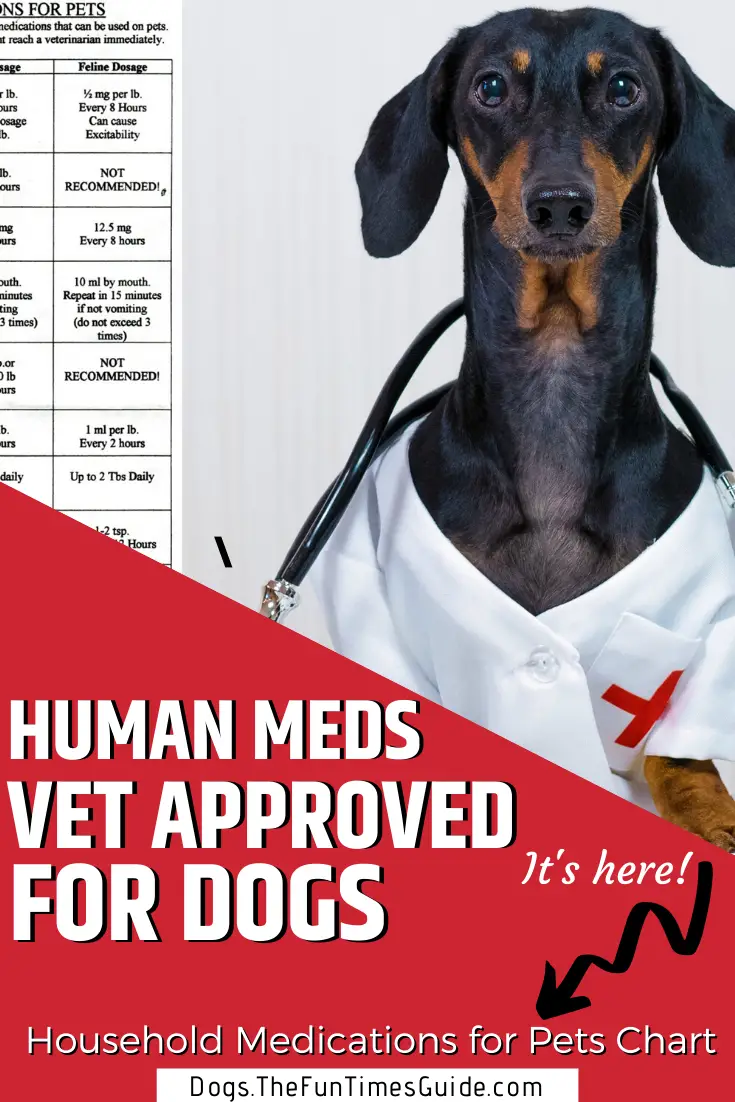 Dog Friendly Over The Counter Medications Chart