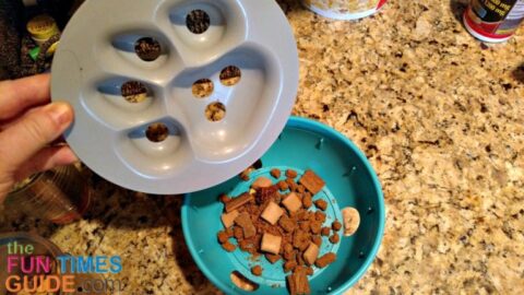 A look inside the bowl once the plastic lid with holes is removed. You can see the 3 large holes in the bottom of the bowl and how large they are in relation to even the largest dog treats I've used. photo by Lynnette at TheFunTimesGuide.com interactive-dog-food-bowl
