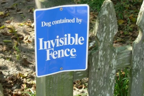 Read this before you install an invisible fence. 