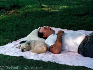 jim-dog-snoring-photo.jpg