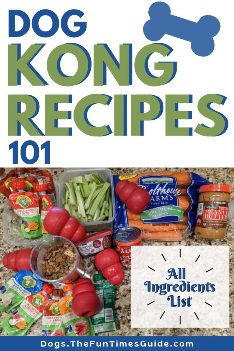 Kong Recipes A List Of All The Best Foods To Put Inside Dog Kong Toys