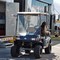 labrador-retriever-in-golf-cart.jpg