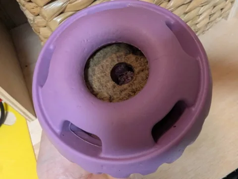 As you can see, the Large dog treat on top prevents the dog from getting at the goodies so easily beneath it. So the dog ends up spending MUCH more time with their Pupsicle toy! photo by Lynnette at TheFunTimesGuide.com As you can see, the Large dog treat on top prevents the dog from getting at the goodies so easily beneath it. So the dog ends up spending MUCH more time with their Pupsicle toy!