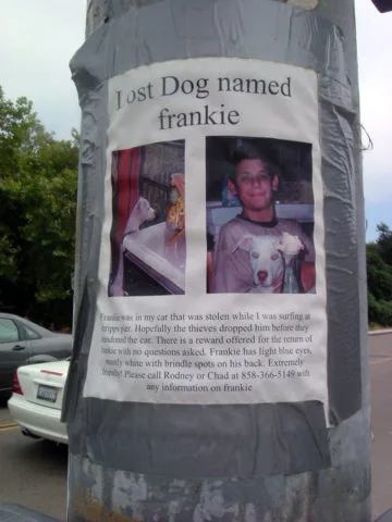 Lost dog poster. photo by Aine D on Flickr