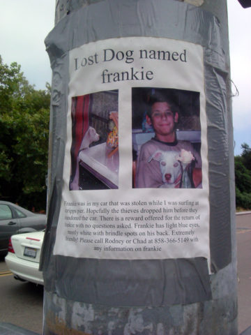 Lost dog poster. photo by Aine D on Flickr