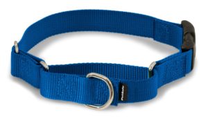 This is a Martingale collar for dogs. It has an extra loop that cinches tighter if your dog starts to pull.