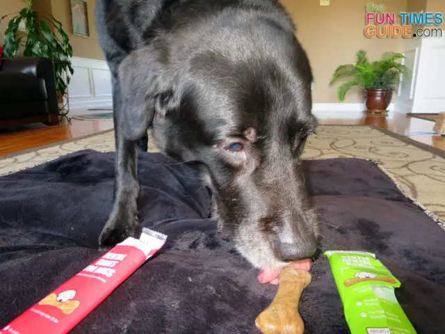 Mercola Healthy Dog Chews: My Dog's 