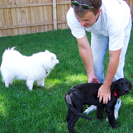 Mike playing with our two dogs in the backyard.