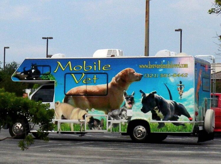 Find A Mobile Vet + A List Of Services That House Call Vets Offer