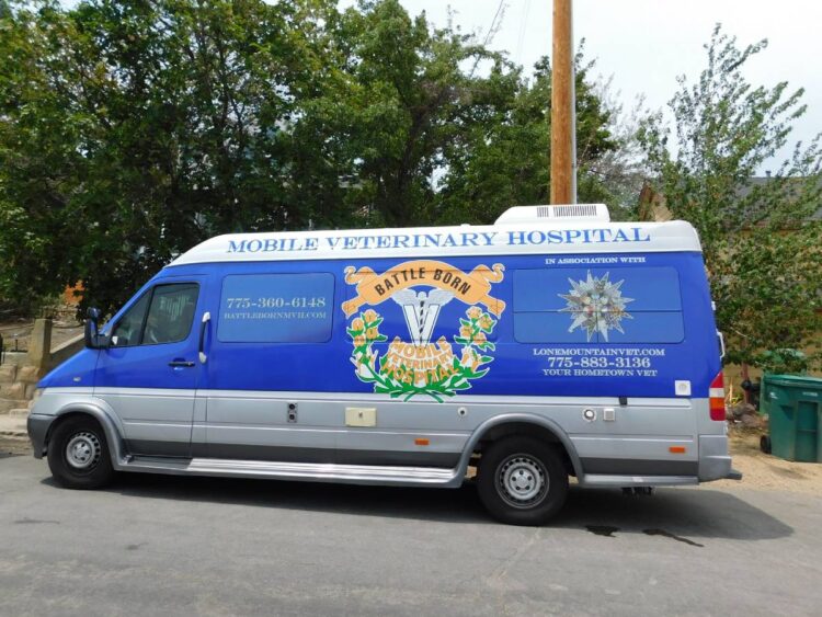 Find A Mobile Vet + A List Of Services That House Call Vets Offer