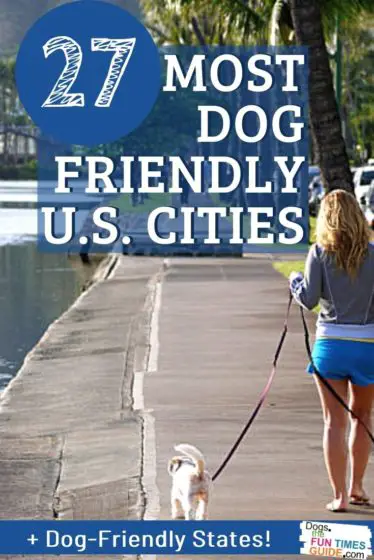 A list of the most dog friendly cities in the U.S. Plus the most dog friendly states!
