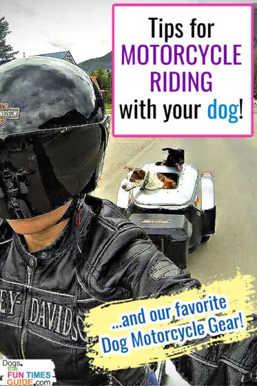 Tips for motorcycling with dogs!