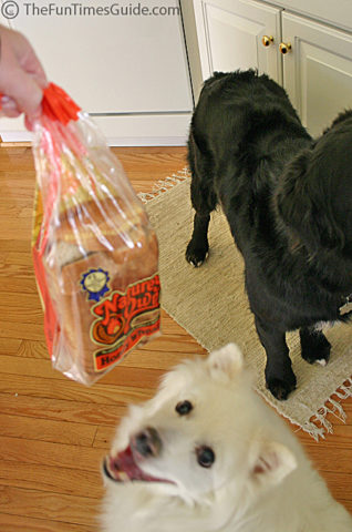 My dogs love bread! photo by Lynnette at TheFunTimesGuide.com My dogs love bread!