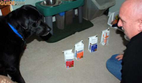 My dog, Tenor, and hubby Jim about to embark on a dog food trial of sorts with different varieties of Nature's Select dog food. 