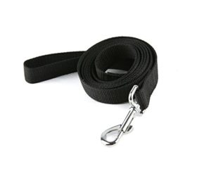 This is your standard nylon web leash. These dog leashes are cheap and popular for dog training.