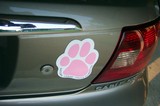 Pink Paw magnet on my car.