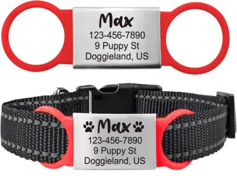 Pawnimals slide-on dog ID tags fit on whatever dog collar you're already using!