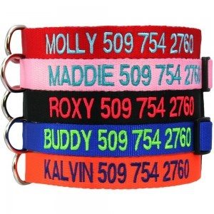 personalized-embroidered-dog-collars