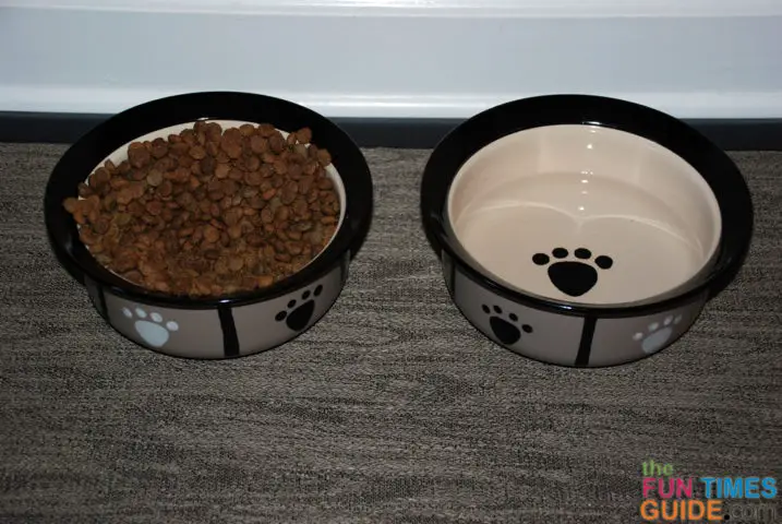 My Favorite Pet Bowls For Dog Food & Water: They're ...