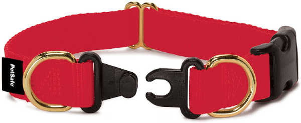 See Which Types Of Dog Collars Are Dangerous And Which Ones Are Safe ...