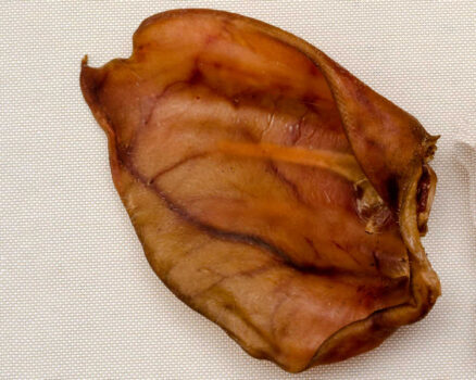 This is a pig ear dog chew. Notice how it is much darker in color than a cow ear? That's because pig ears are usually smoked for added flavor.