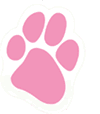 Pink Paw car magnet in support of canine cancer.
