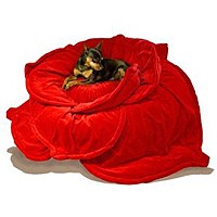 A plush red rose dog bed.