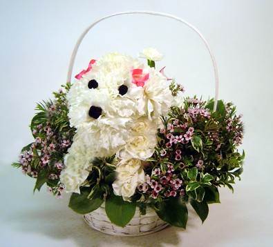 poodle-dog-flowers-in-a-basket.jpg